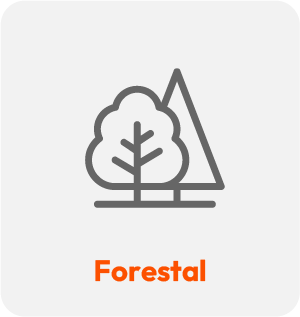Forestal