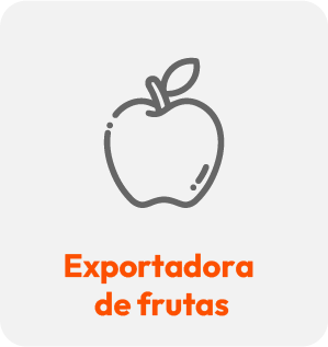 Exportadora de frutas