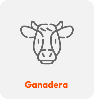 Ganadera