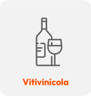 Vitivinícola